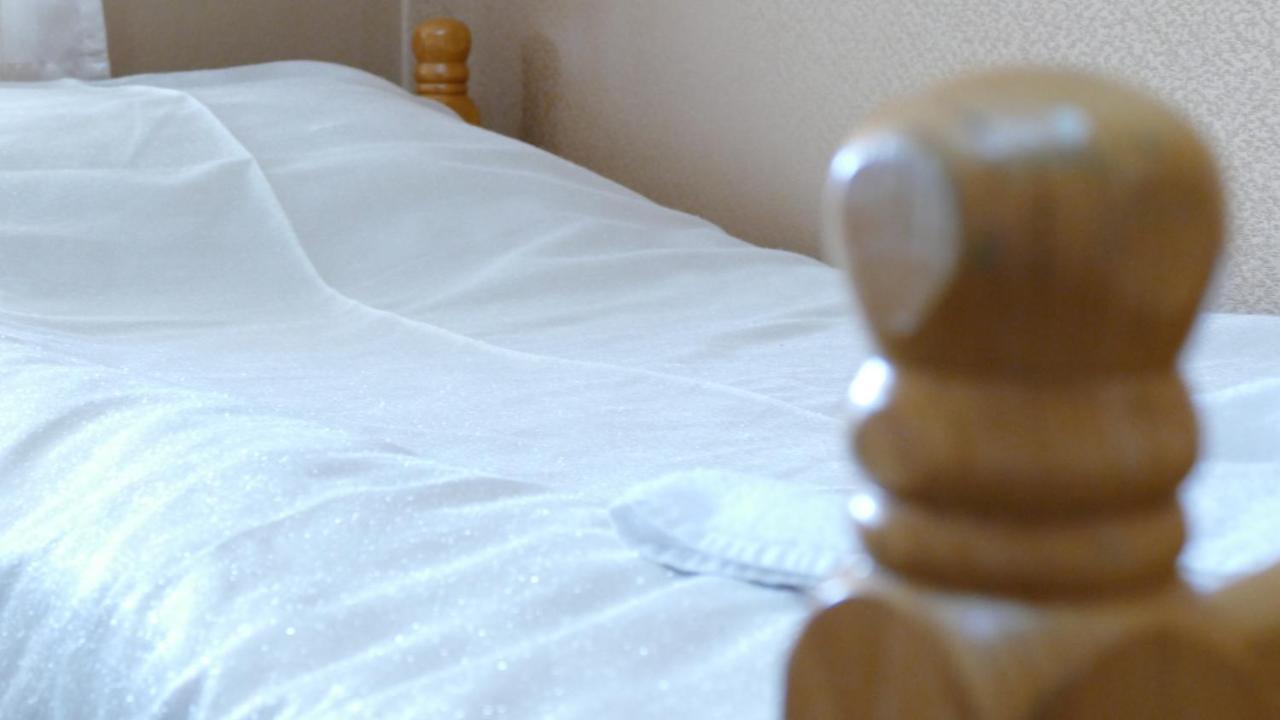 B&B Vila Bela Ruza Sremska Mitrovica Dış mekan fotoğraf